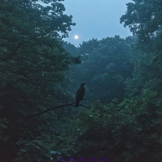 Telegram profile photo for .'Tears of the sky'.