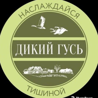 Telegram profile photo for Селигер Дикий Гусь