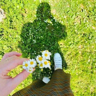 Telegram profile photo for اقتباسات ♡.