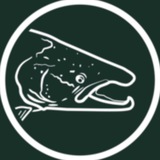 Telegram profile photo for Yokanga Trophy Salmon River.Нахлыст. Рыбалка. Лосось.