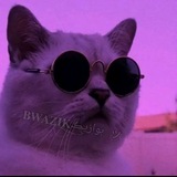Telegram profile photo for ๐๐๐๐๐๐_ุจูุงุฒฺูช ใ