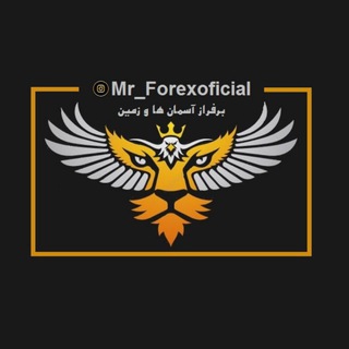 Telegram profile photo for هفتسال پرتفویِ مثبت😎