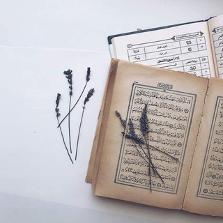 Telegram profile photo for بيآن ماجد 🌧🌿