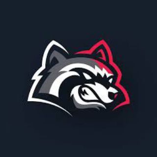 Telegram profile photo for No Deposit free spinsπΈ
