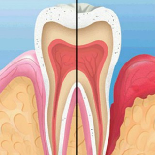 Telegram profile photo for Sudanese Library of Periodontology