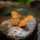 Telegram profile photo for زیبایی و جذابیت طبیعت