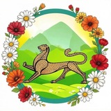 Telegram profile photo for Alania_fencing_sсhool