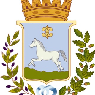 Telegram profile photo for Polizia Locale Martina Franca INFORMA