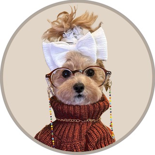 Telegram profile photo for Noods Portal