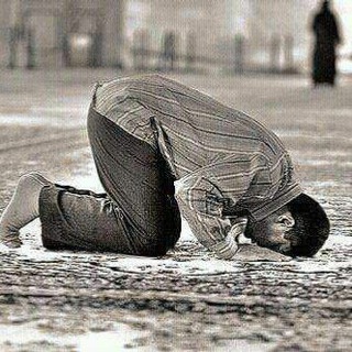 Telegram profile photo for Muslim va muslimalar uchun
