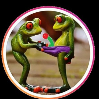 Telegram profile photo for Залупа лягушки мемы