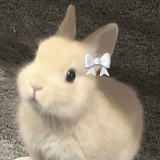Telegram profile photo for 404