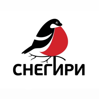 Telegram profile photo for СНЕГИРИ валяние игрушек