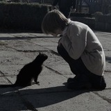 Telegram profile photo for Звезды в ночном небе