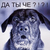 Telegram profile photo for так щызел терпила