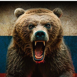 Telegram profile photo for TheRussianIrishTG Archiving the unreported Russian side.