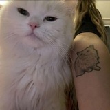 Telegram profile photo for cuttiestporn