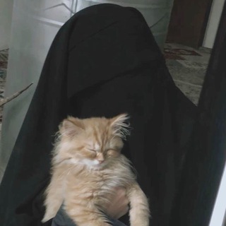 Telegram profile photo for فَـبَشَّــرۡنَٰـهَـا 🎀.