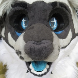 Telegram profile photo for Raccartz's trash archive