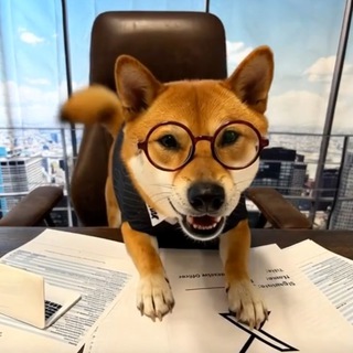 Telegram profile photo for Floki X CEO - PORTAL