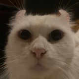 Telegram profile photo for etopizdec