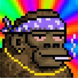 Telegram profile photo for Drake Gem’s