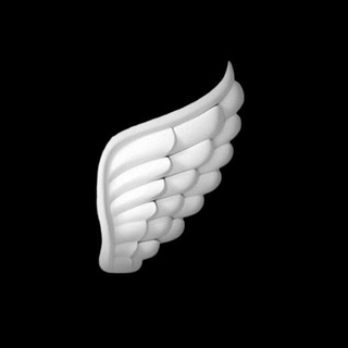 Telegram profile photo for Raxva | رَخوا 🪽