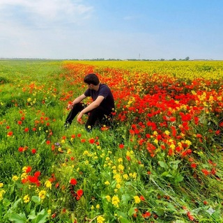 Telegram profile photo for Roziqov Otayor/ Ijodiy kanali