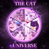 Telegram profile photo for 🐈⬛ The_Cat_Universe⚕️