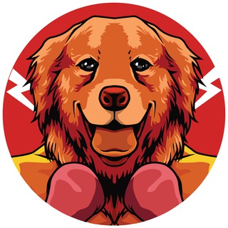 Telegram profile photo for Portal - MRI -Marshall Inu