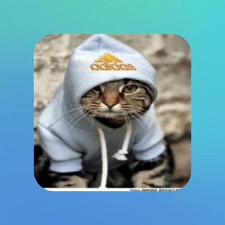 Telegram profile photo for Volpix