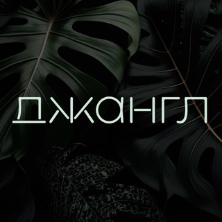 Telegram profile photo for Джангл • Долгопрудный