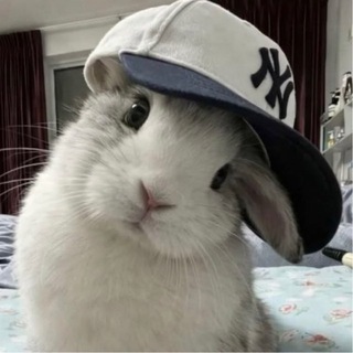 Telegram profile photo for авалонские