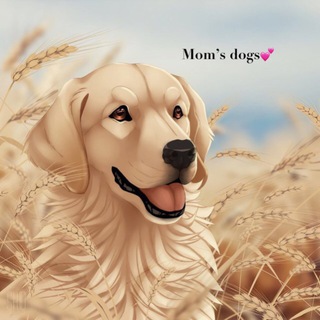 Telegram profile photo for Mom’s dogs💕
