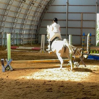 Telegram profile photo for 🪻Equestrian_So🌷