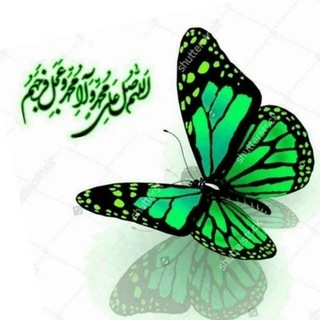 Telegram profile photo for 💚برڪاتـِ14معصوم💚