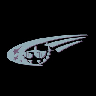 Telegram profile photo for SWAGA SCHOOL