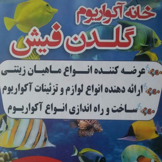 Telegram profile photo for آکواریوم گلدن فیش