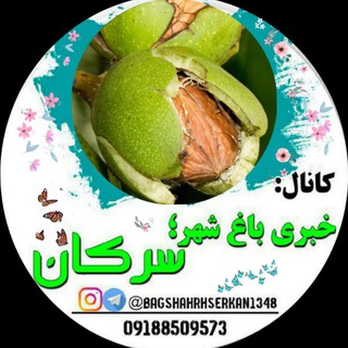 Telegram profile photo for کانال خبری باغ شهرسرکان