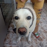 Telegram profile photo for Новый игрок