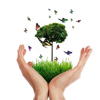 Telegram group profile photo for Защитим природу вместе 🌳