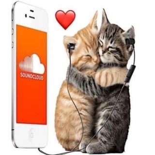 Telegram profile photo for шторм медляк