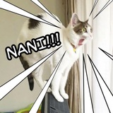 Telegram profile photo for $nani