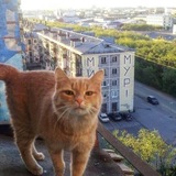 Telegram profile photo for Жилая зона химзавода