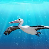Telegram profile photo for Pelican
