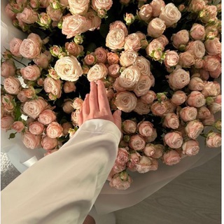 Telegram profile photo for REFLOWER.KGπ