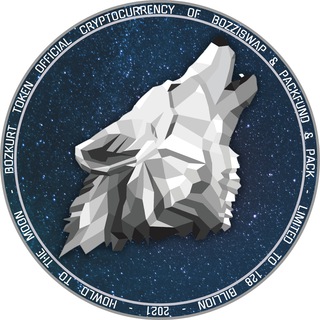 Telegram profile photo for Bozkurt Token
