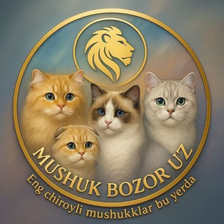 Telegram profile photo for ππππππ πππππ π» ππ