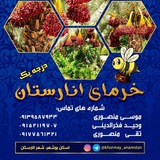 Telegram profile photo for خرمای انارستان🌴🌴🌴