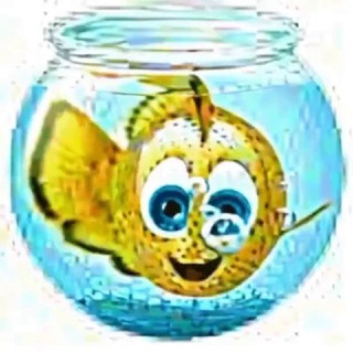 Telegram profile photo for Рыбалка с Юмором🎣